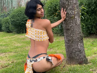Naicol_morbosa profile